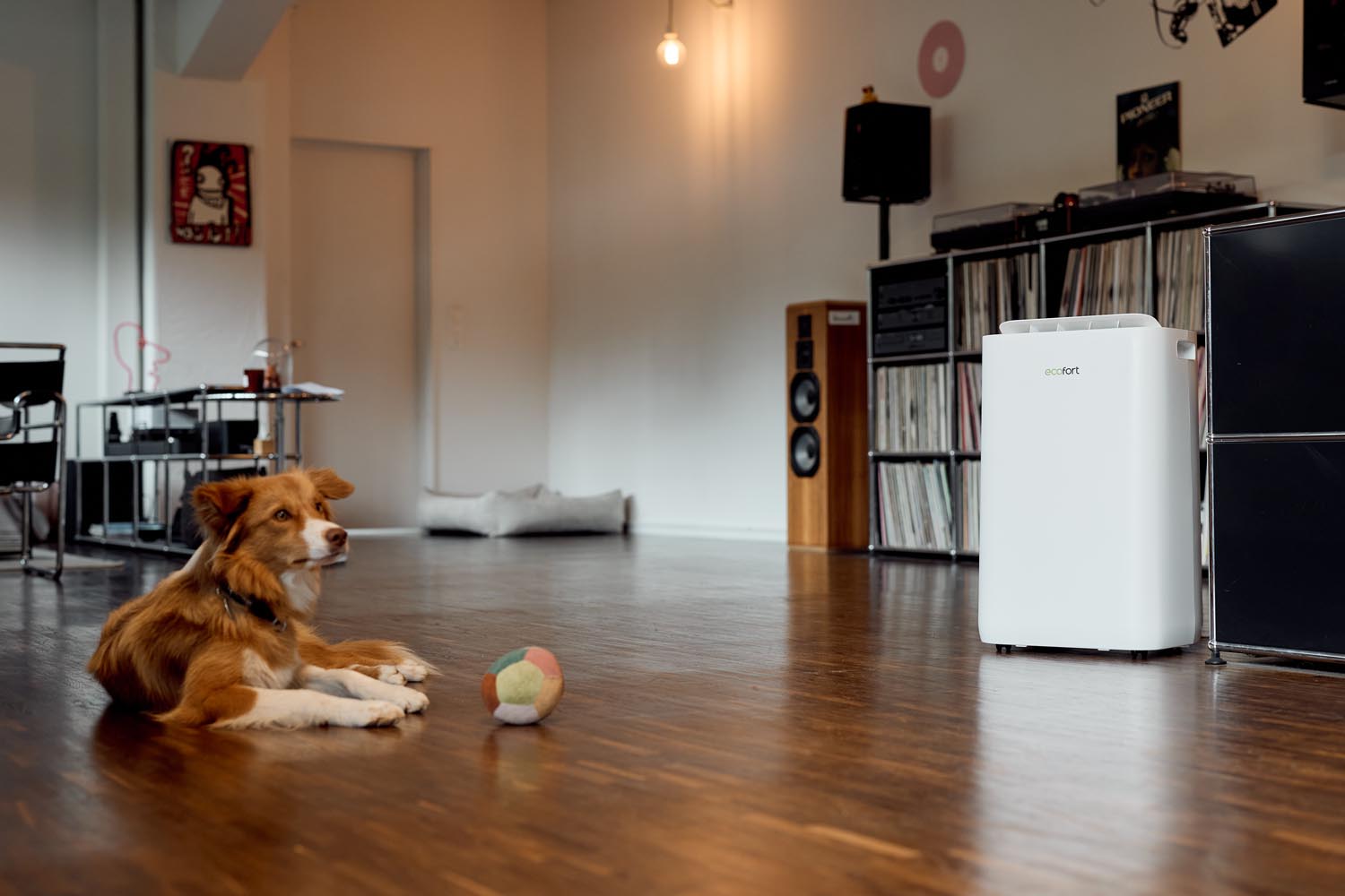 ecoQ DryAir 20L Complete im Wohnzimmer mit Hund